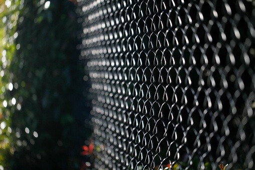 Close-up view of a black vinyl-coated chain link fence showing tightly woven metal mesh
