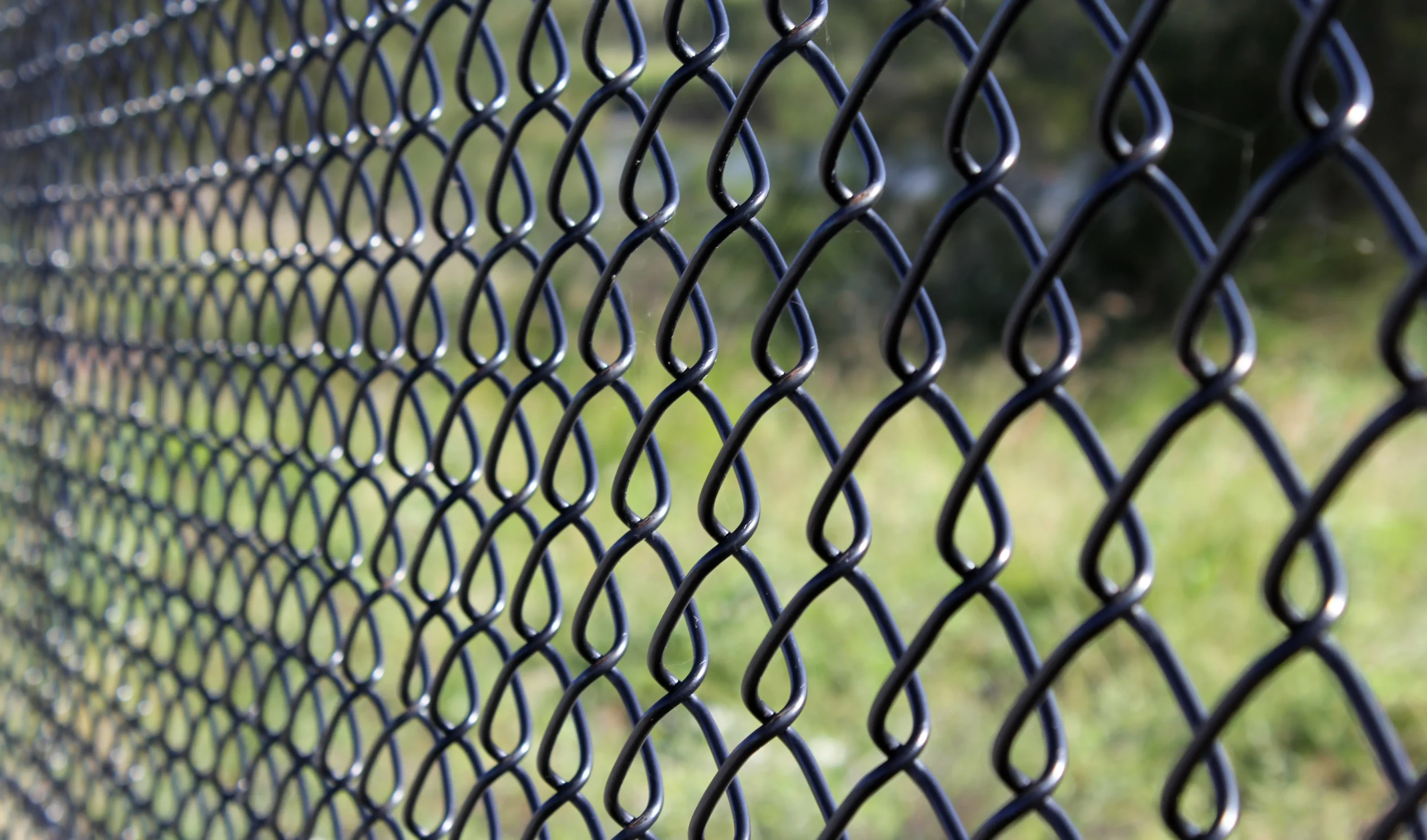 A close-up of a black vinyl-coated chain link fence, showing the woven diamond mesh pattern with green grass blurred in the background.