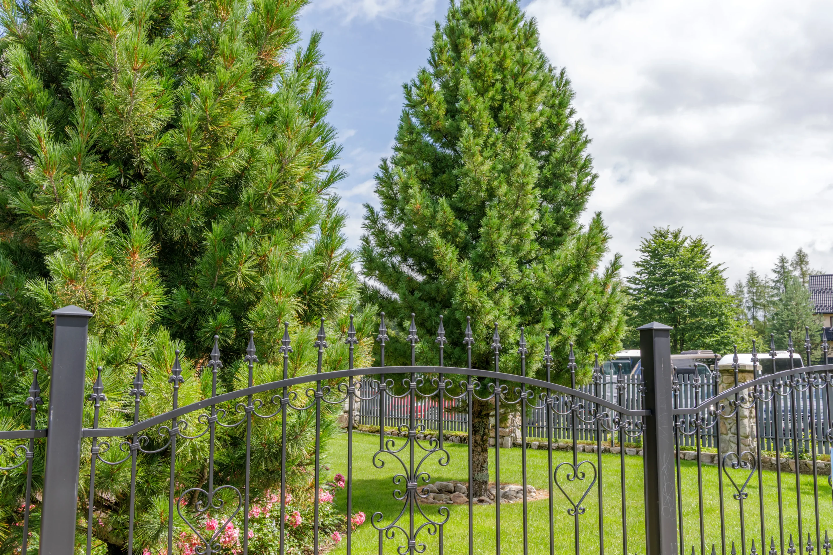 A black wrought iron fence surrounding a landscaped yard with evergreen trees, flowers, and a green lawn.